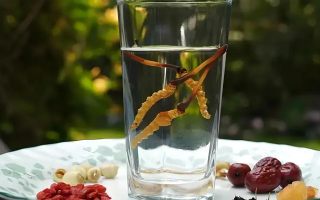 人參配蟲草泡酒，泡多久才好喝？咱跟你說實在的