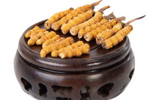 冬蟲夏草的頭期斷草好嗎？有沒有營養(yǎng)價值？