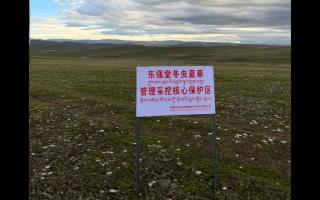 高原之上，蟲草共生；守護生態(tài)，東強堂與你同行