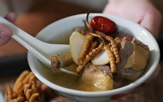 冬蟲夏草和什么食材搭配煲湯比較好？