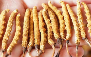 四歲寶寶能吃冬蟲夏草嗎？藏農(nóng)神草：科學(xué)滋養(yǎng)，守護(hù)孩童成長(zhǎng)元?dú)?> </div>
            <div   id=