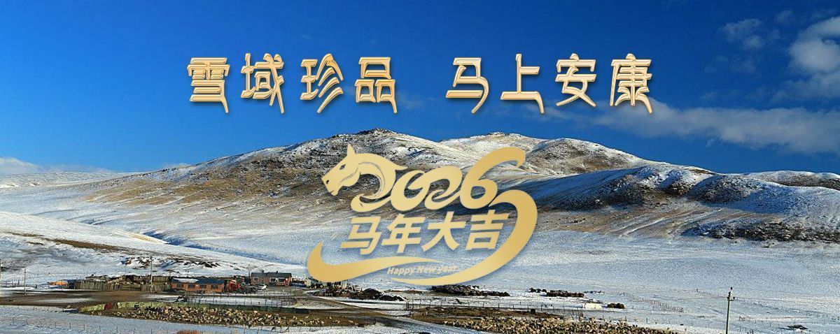 雪域高原藏珍品，2026愿您馬上安康——來自西藏那曲蟲草網(wǎng)的新春祝福