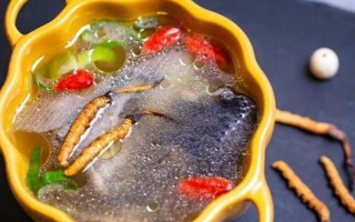 那曲冬蟲夏草辨別全指南｜教你避開市場(chǎng)陷阱，認(rèn)準(zhǔn)正宗珍品