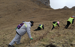 深耕那曲雪域，甄選正宗好草——2026那曲冬蟲夏草優(yōu)質(zhì)品牌盤點