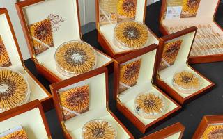 2026年西藏那曲新鮮冬蟲(chóng)夏草正品價(jià)格詳解